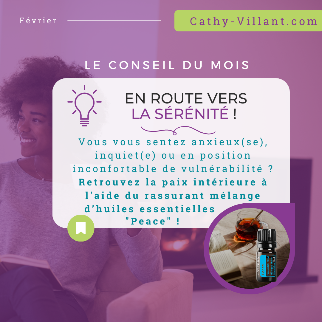 Conseil-HE_Fevrier